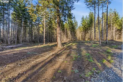 232 Durins Pl, Castle Rock, WA 98611 - Photo 15