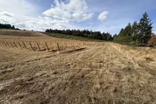 13507 NW Ford Rd, Gaston, OR 97119 - Photo 19