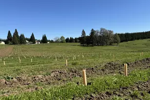 13507 NW Ford Rd, Gaston, OR 97119 - Photo 11