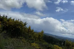 13507 NW Ford Rd, Gaston, OR 97119 - Photo 17