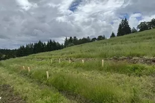13507 NW Ford Rd, Gaston, OR 97119 - Photo 7