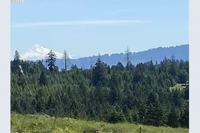 13507 NW Ford Rd, Gaston, OR 97119 - Photo 3