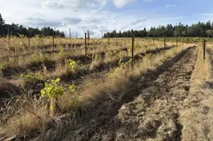 13507 NW Ford Rd, Gaston, OR 97119 - Photo 13