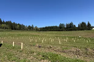 13507 NW Ford Rd, Gaston, OR 97119 - Photo 13