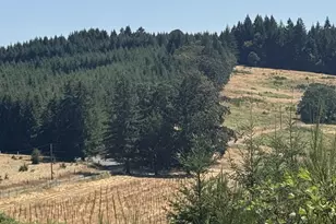13507 NW Ford Rd, Gaston, OR 97119 - Photo 11