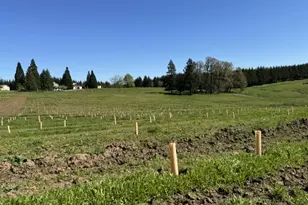 13507 NW Ford Rd, Gaston, OR 97119 - Photo 5