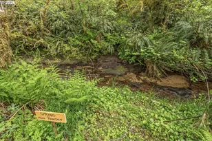 93537 Deadwood Creek Rd, Deadwood, OR 97430 - Photo 45