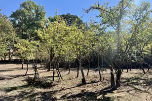 617 Poison Oak Dr, Winston, OR 97496 - Photo 31