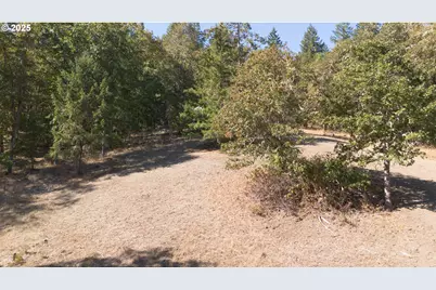 617 Poison Oak Dr, Winston, OR 97496 - Photo 13