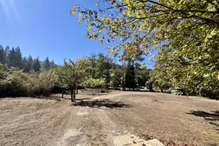 617 Poison Oak Dr, Winston, OR 97496 - Photo 39