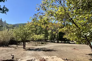 617 Poison Oak Dr, Winston, OR 97496 - Photo 37