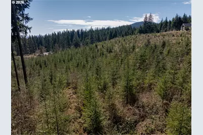 Ne 94 St #41, Camas, WA 98607 - Photo 5