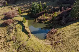 481 Strader Rd, Roseburg, OR 97470 - Photo 43