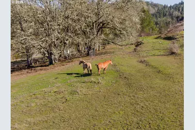 481 Strader Rd, Roseburg, OR 97470 - Photo 33