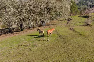 481 Strader Rd, Roseburg, OR 97470 - Photo 33