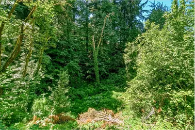 10906 NE 8th Ave, Vancouver, WA 98685 - Photo 39
