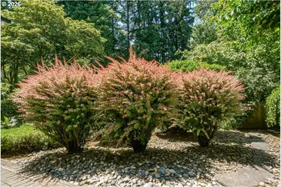 10906 NE 8th Ave, Vancouver, WA 98685 - Photo 35
