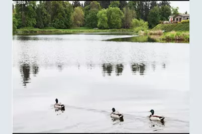 3355 N Delta Hwy #164, Eugene, OR 97408 - Photo 7
