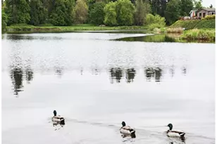3355 N Delta Hwy, Eugene, OR 97408 - Photo 7