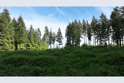 0 Finalburg Rd, La Center, WA 98629 - Photo 9