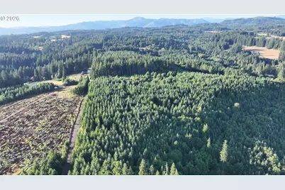 0 Finalburg Rd, La Center, WA 98629 - Photo 29