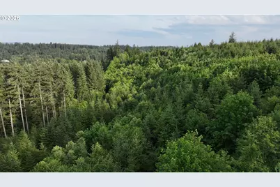 0 Finalburg Rd, La Center, WA 98629 - Photo 17