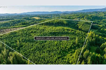 0 Finalburg Rd, La Center, WA 98629 - Photo 1