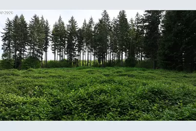0 Finalburg Rd, La Center, WA 98629 - Photo 23