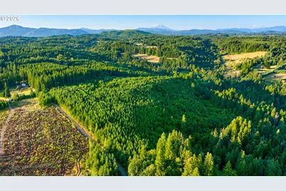 0 Finalburg Rd, La Center, WA 98629 - Photo 3