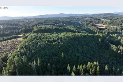0 Finalburg Rd, La Center, WA 98629 - Photo 33
