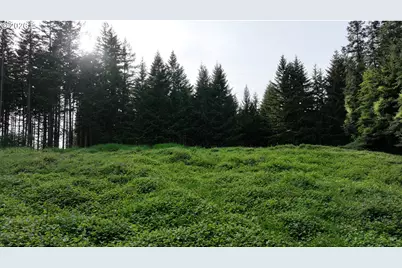 0 Finalburg Rd, La Center, WA 98629 - Photo 21