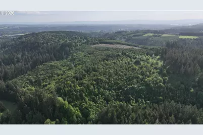0 Finalburg Rd, La Center, WA 98629 - Photo 15