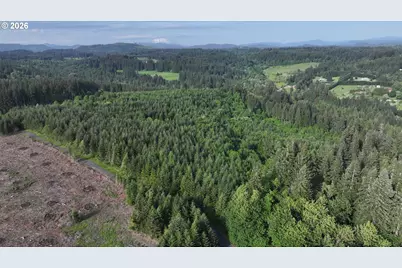 0 Finalburg Rd, La Center, WA 98629 - Photo 11