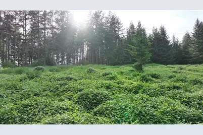 0 Finalburg Rd, La Center, WA 98629 - Photo 19