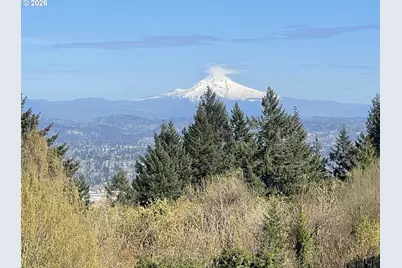 4317 SW Bernard Dr, Portland, OR 97239 - Photo 3