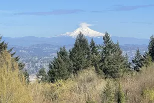 4317 SW Bernard Dr, Portland, OR 97239 - Photo 3