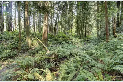 30600 NE 98th Ave, Battle Ground, WA 98604 - Photo 41