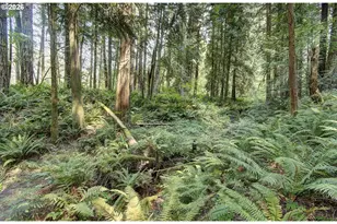 30600 NE 98th Ave, Battle Ground, WA 98604 - Photo 41