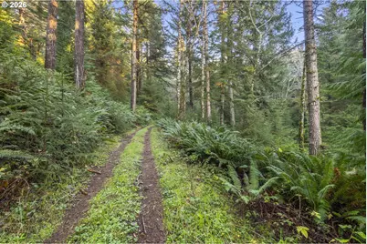 45721 Highway 101, Langlois, OR 97450 - Photo 9