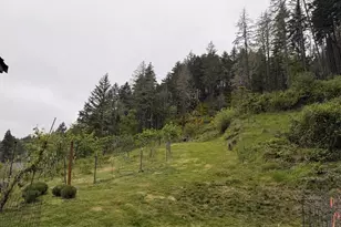 1500 Bar L Ranch Rd, Glide, OR 97443 - Photo 19