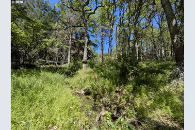 41 Mountain View Rd, Lyle, WA 98635 - Photo 15