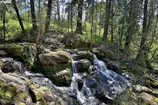 11830 NW Holly Springs Ln, Portland, OR 97229 - Photo 41