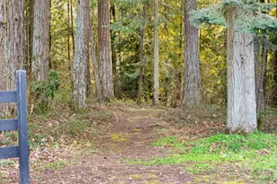 25291 SW Labrousse Rd, Sherwood, OR 97140 - Photo 37