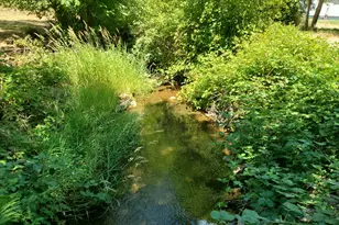 753 Albert Ave, Glendale, OR 97442 - Photo 35