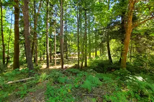 753 Albert Ave, Glendale, OR 97442 - Photo 37