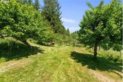 56191 Glen Aiken Creek Rd, Coquille, OR 97423 - Photo 31