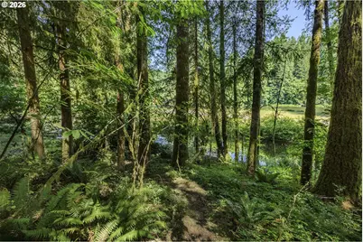 9947 Beach Dr, Birkenfeld, OR 97016 - Photo 33