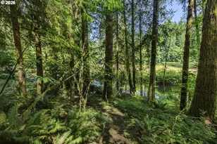 9947 Beach Dr, Birkenfeld, OR 97016 - Photo 33