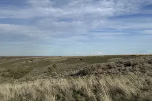 Ferguson Rd, Bickleton, WA 99322 - Photo 39