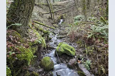 Seward Rd, Carson, WA 98610 - Photo 5